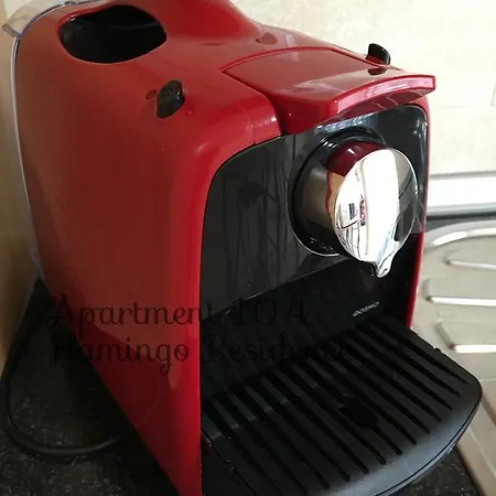 104 - Flamingo ポルティマン