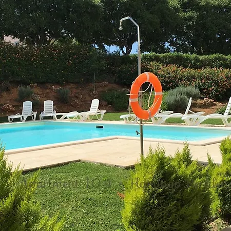 104 - Flamingo * פורטימאו