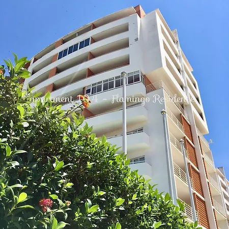 104 - Flamingo * פורטימאו